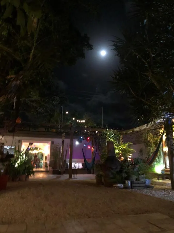 Teetotum Hotel Tulum